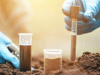 Soil Test